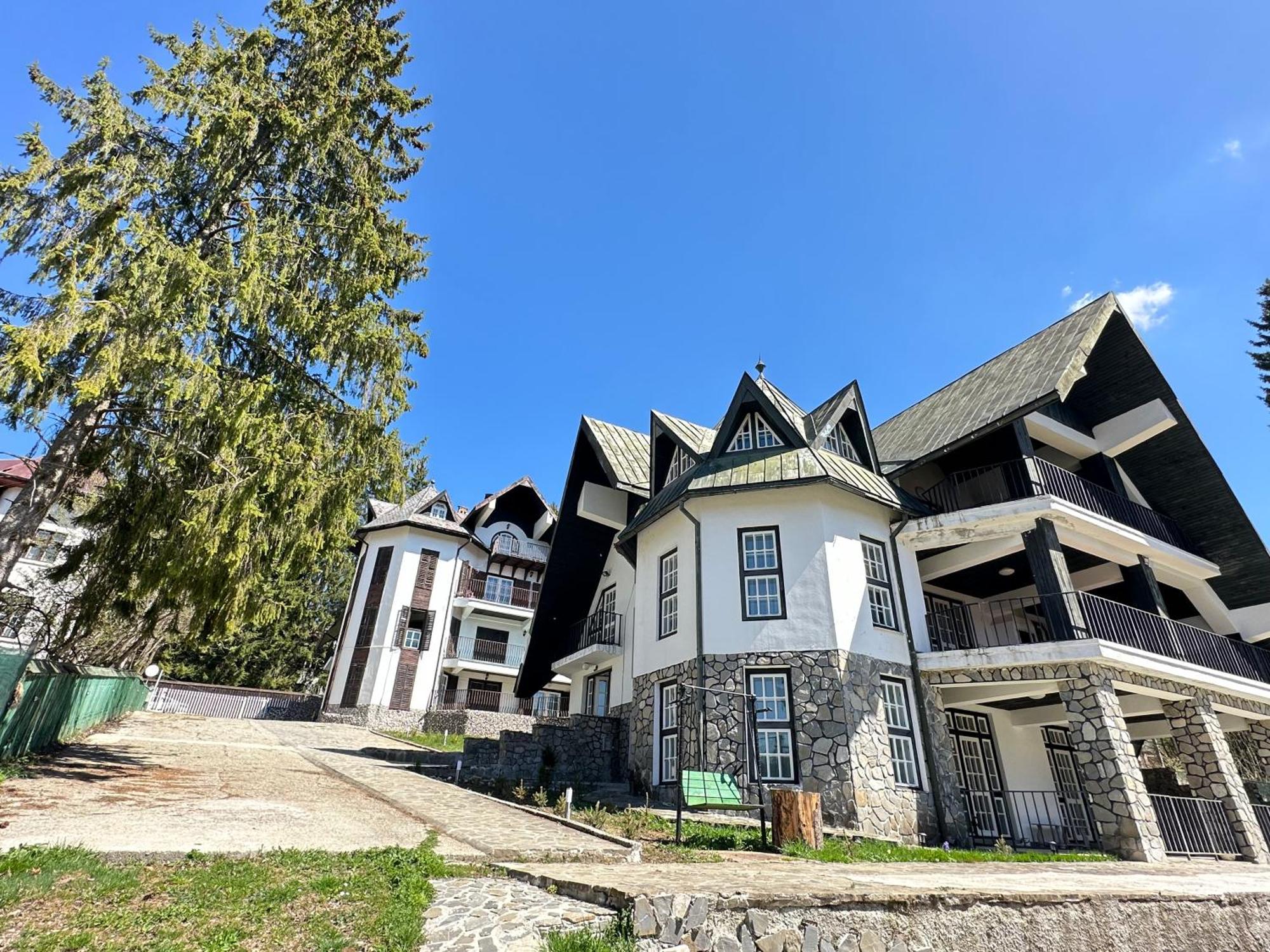 Pine Peak Apartments Predeal Exteriör bild
